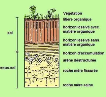 Le sol et le sous-sol