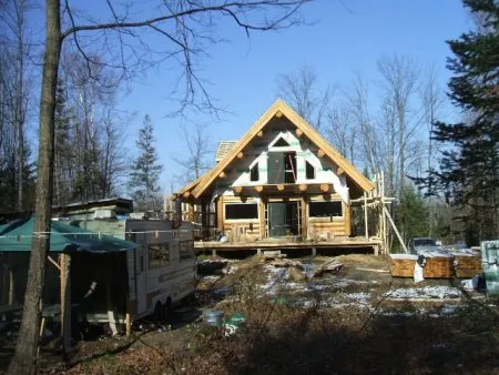 La fuste des colibris au Québec