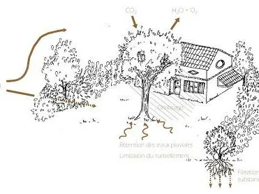 Accompagnement végétal des constructions HQE