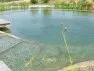 Une rampe immergée (Source Elodée)