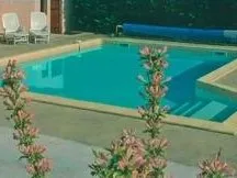 Une piscine béton réalisée en steppoc