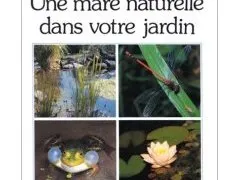 Une mare naturelle dans votre jardin