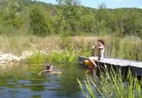 Vignette de l'article : La Piscine Naturelle